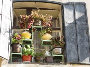 Sarajevo window box