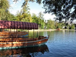 Pletna Boats