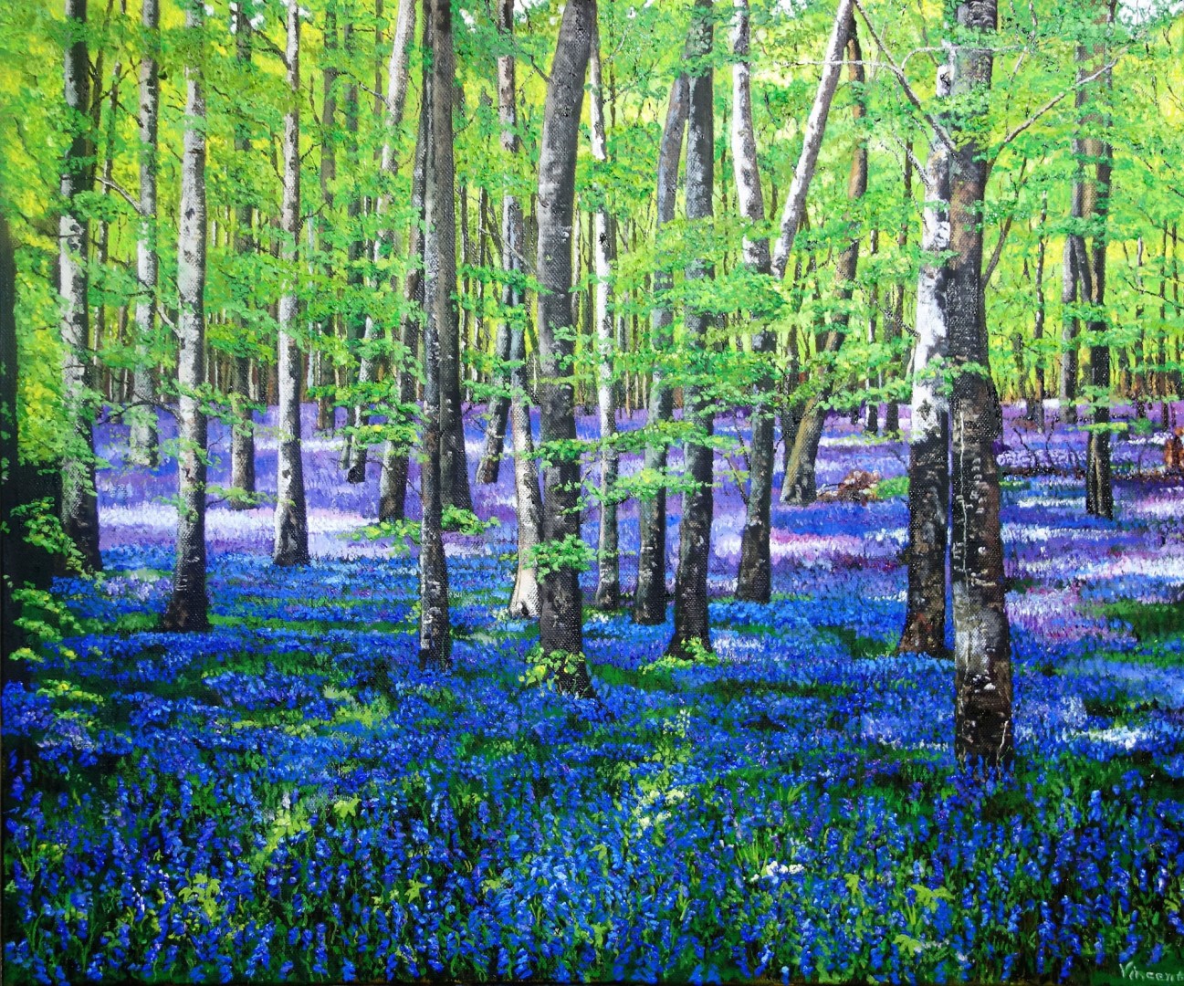 Bluebell Meadow, by Vincent Smith