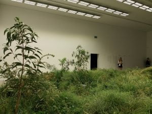 Australian pavilion at the Biennale