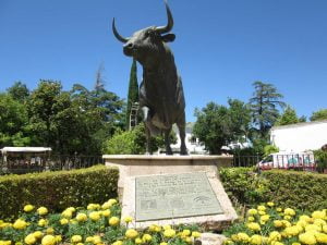 Ronda Bull