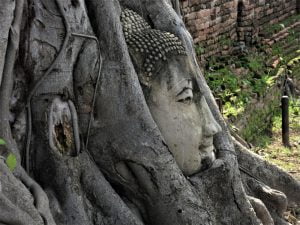 Wat Mahathat Ayutthaya