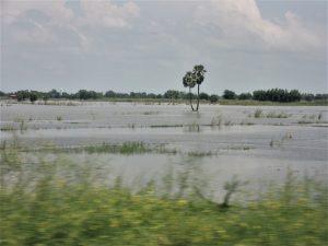 on the train to Chiang Mai