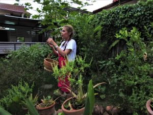 Asia Scenic cooking school Chiang Mai