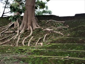 Golden Triangle Chiang Saen Old city walls