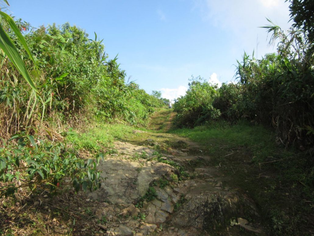 Path up to Phu Chi Fa
