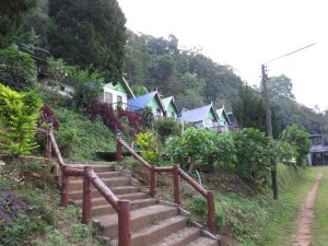 Phu Chi Fa