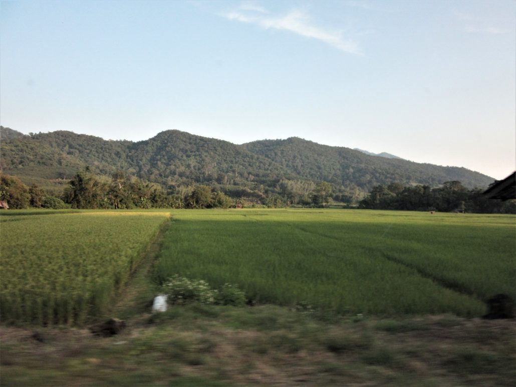 On the road to Phu Chi Fa