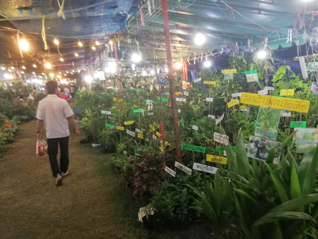 Garden Shops kanchanaburi night market