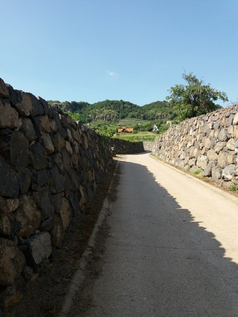 Walled road up through vineyards on Somlóhegy