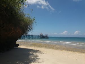 @zanziresort