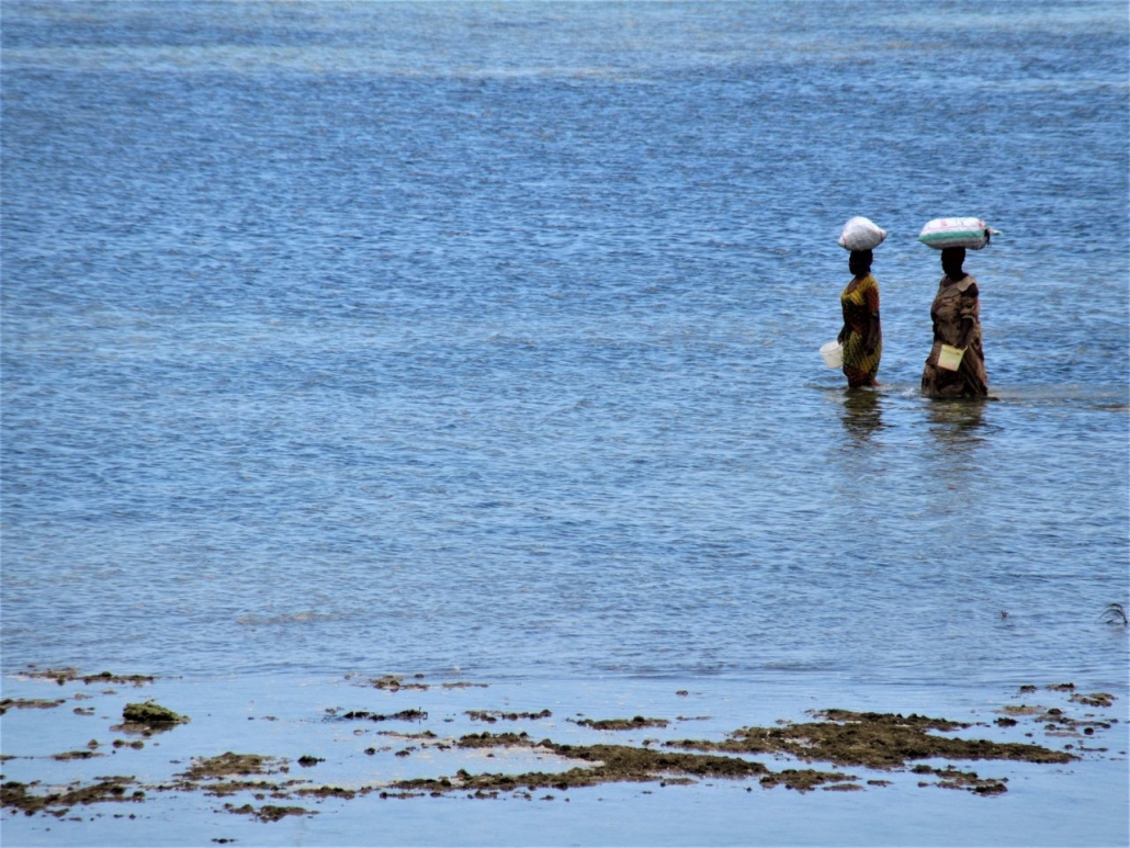 African women walking in water Zanzibar