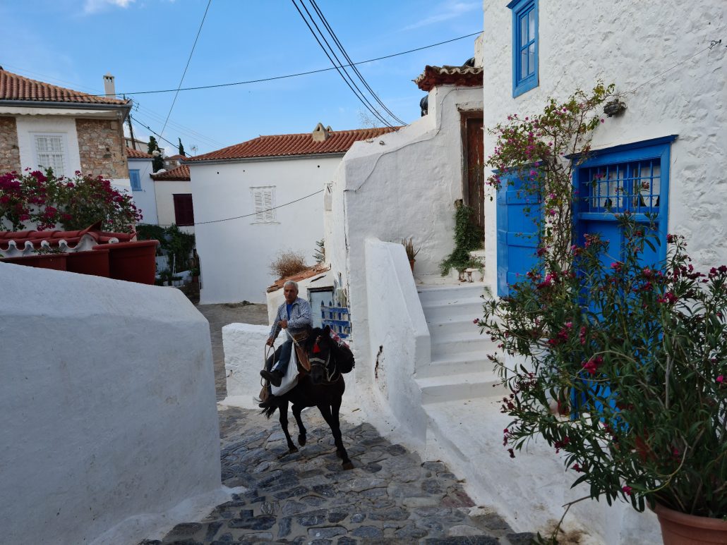 Rider on a mule carrying bags in Hydra Greece