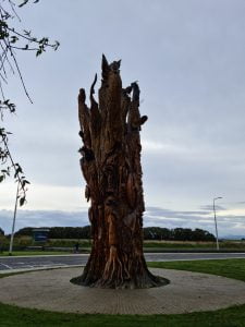 Peace Tree ST Anne's Park Raheny Dublin