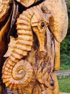 Seahorse carved into Peace Tree ST Anne's Park Raheny Dublin