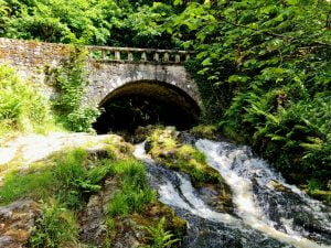 Cloughleagh bridge - single arch bridge spanning the Shankill River. Lots of green trees and flowing water