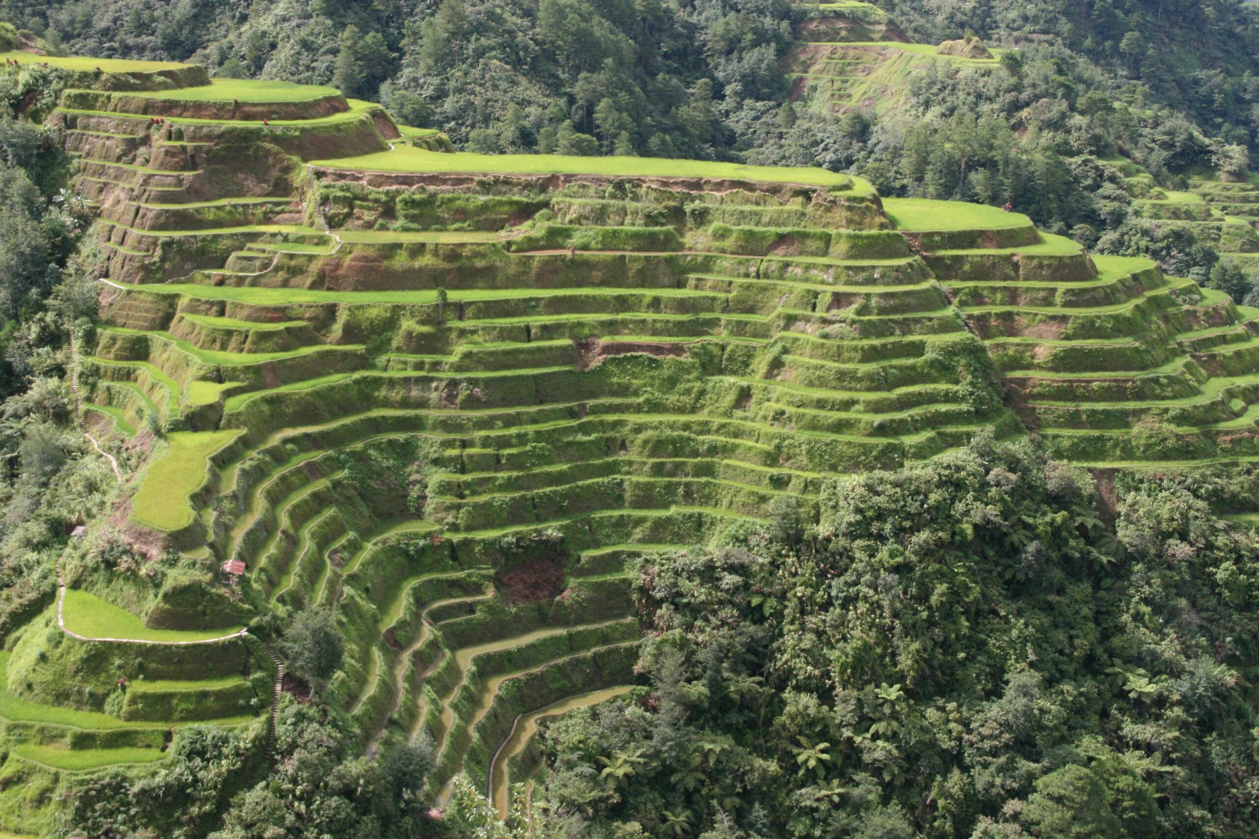 Banaue Rice Terraces, N. Luzon, Philippines