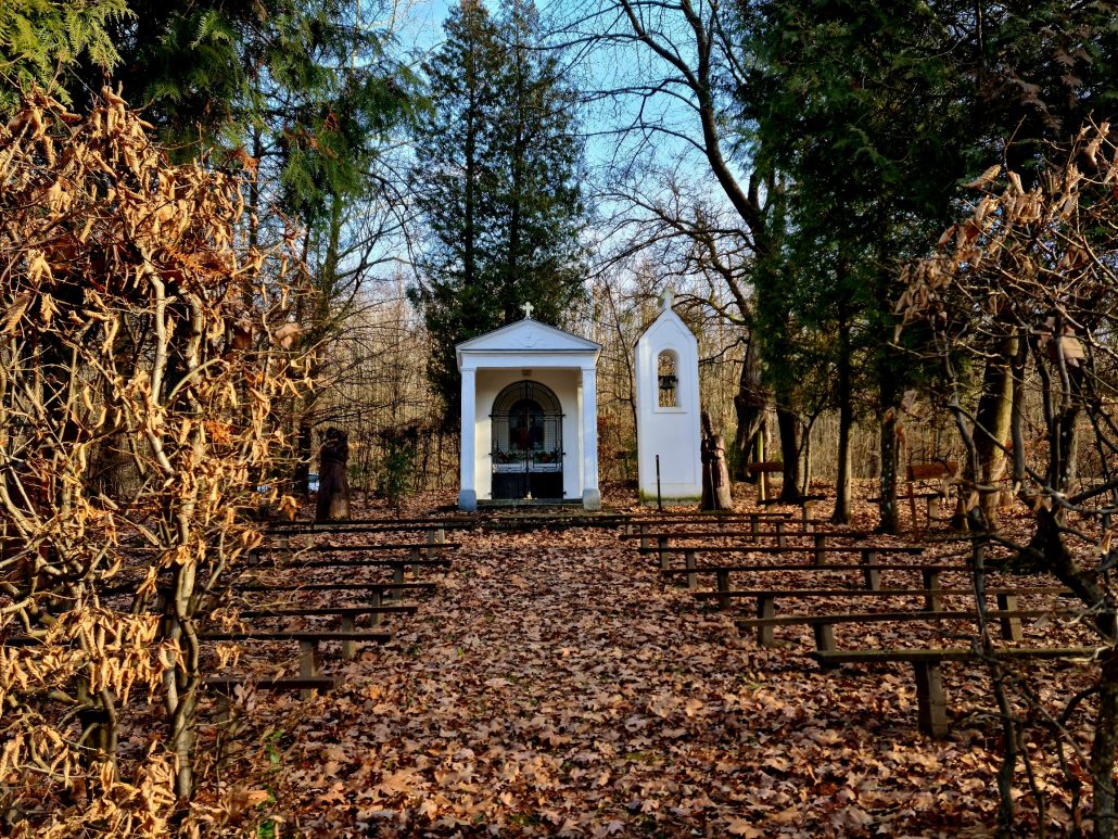 White altar and belfry in a leaf-strewn forest with rows of wooden benches set out on the slope below them 