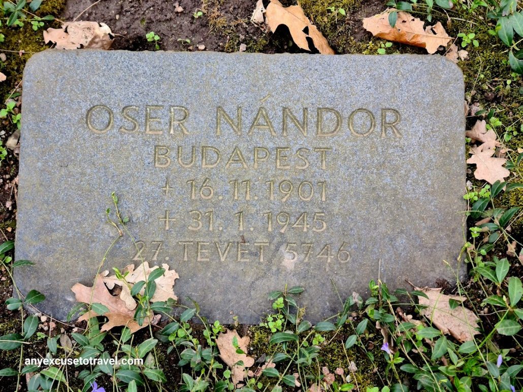 Grave marker of grey stone sitting in the ground with dead leaves around it. Gold lettering reads OSER NANDOR BUDAPEST +16.11.1901 + 31.1.1945 27 Tevet 5746