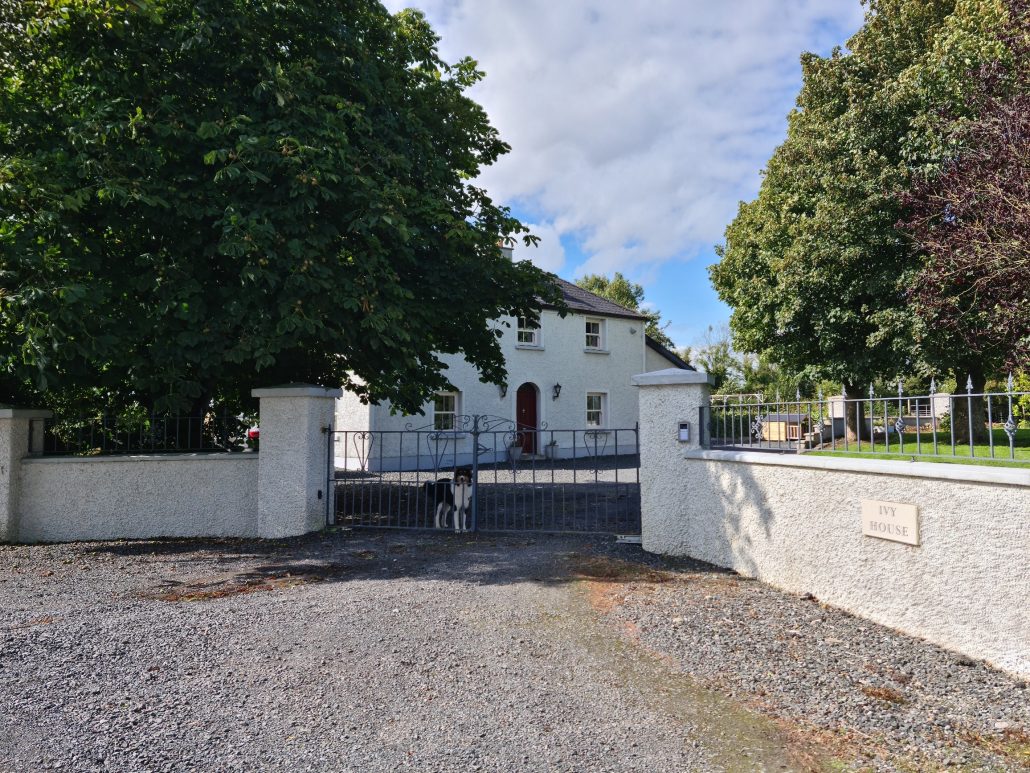 Curved grey walls joined by metal gate behind which stands a black and white dog. A grave driveway flanked by trees leads to a two-story stone house with three windows on the first floor, and two on the bottom, one on either side of a red door. The name on the right wall reads IVY HOUSE
