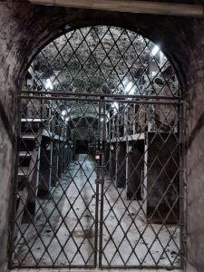 Black and white photo of latticed iron gate behind which sits a wine cellar. Rows of niches on each side with layers of wine bottles stacked in each niche. Black mould hangs from the ceiling. Strips of fluorescent light cast a dull glow.