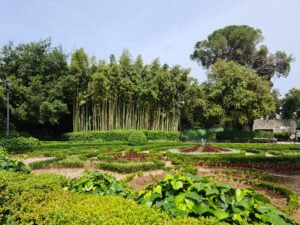 A very green, lush, city park