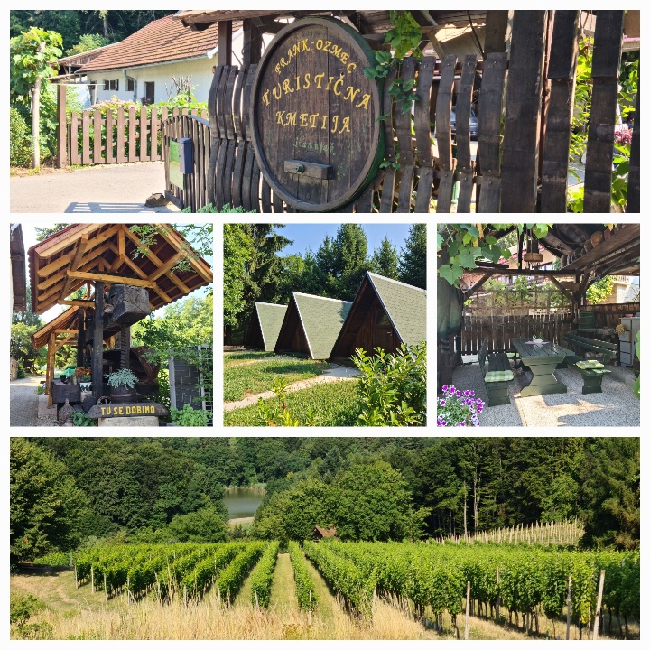 Collage of 5 photos - one showing the top of a wine barrel pinned to a wooden fence with the words FRANK-OZMEC TURISTICNA KMETIJA written in gold. 2/ Same gazebo with the sign Tu se dobino - I'm too lazy to change it now - 3. Three chalet with green roofs sloping to the ground 4. green benches either side of a green slatted table under a wooden roof 5/ view from on top looking down at a vineyard