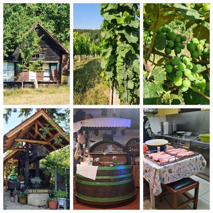 COllage of 6 photos ....1 a wooden roofed structure housing a number of beehives painted in white, brown, green, blue, yellow; 2. the view of a row of grapevines 3. a bunch of green grapes on the vine; 4. A wooden gazebo-type affair with a sign saying Tu se dobino (Slovenian for meet me here) 5. A huge winebarrel with green metal rings cut in half serving as a table behind which circular shelves hold glasses. Lace trim overhead 6. Kitchen table with slabs of uncooked ribs and a bowl of something