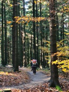 man with a leafblower in the forest