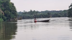 Man in dugout canoe near Tiwai Island, in the Moa River, Sierra Leone