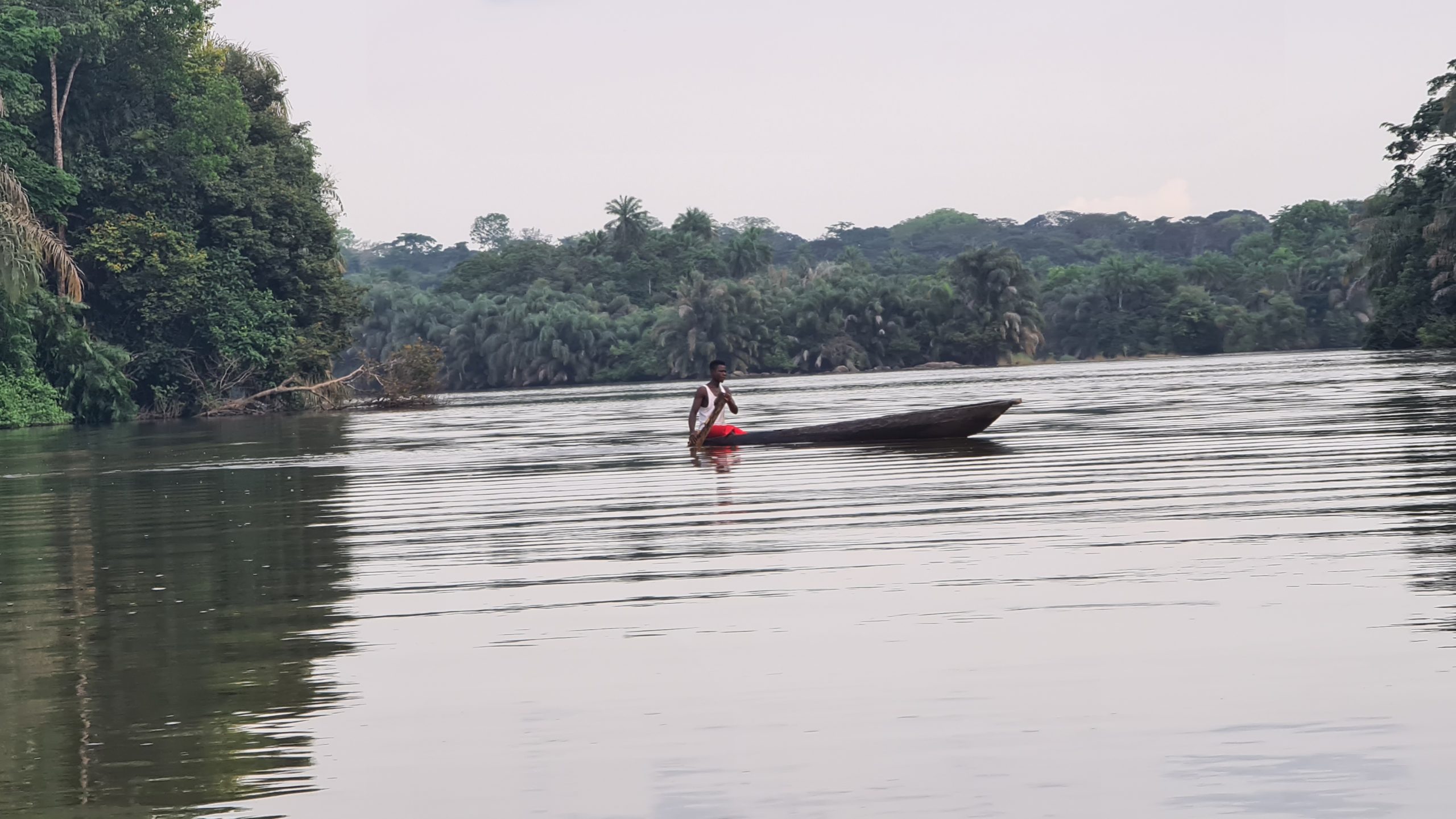 Man in dugout canoe near Tiwai Island, in the Moa River, Sierra Leone