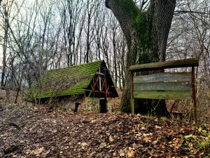 Old wooden building with a mossgreen roof