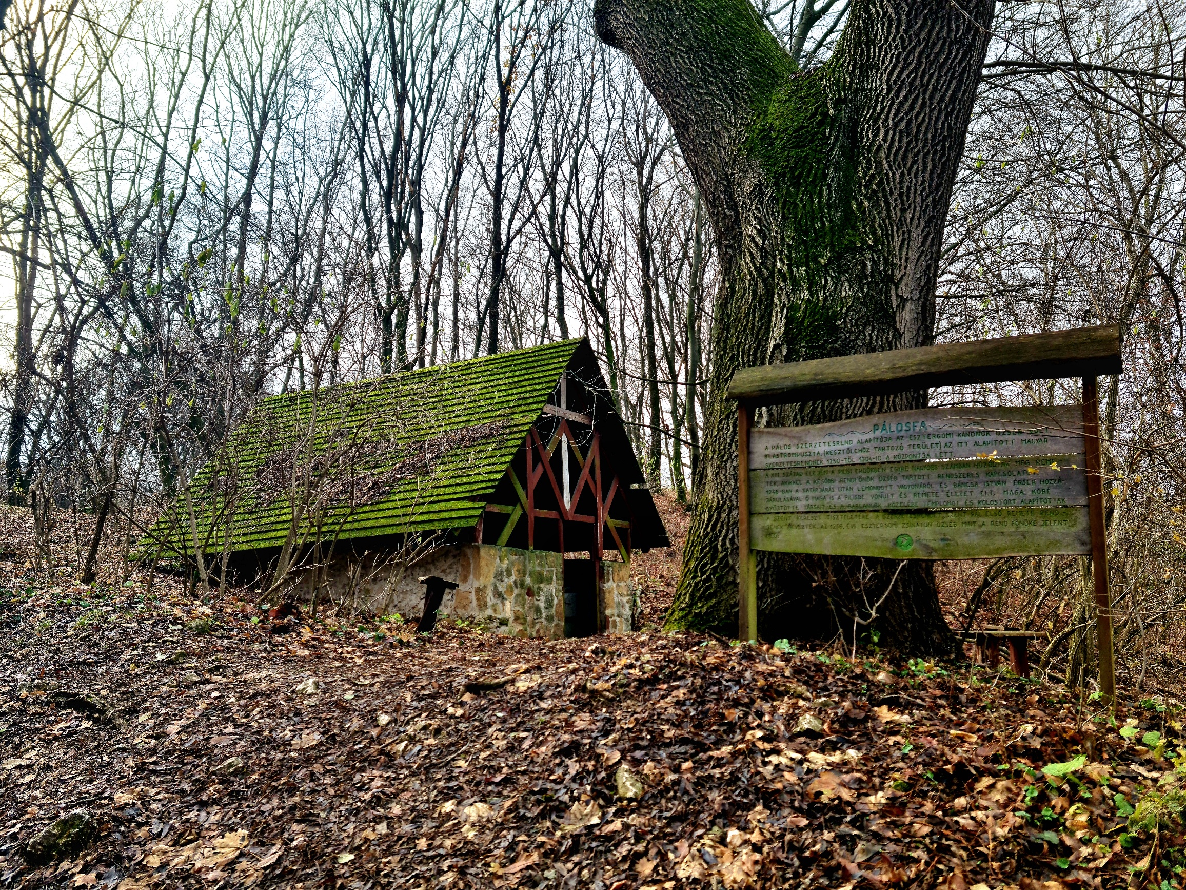 Old wooden building with a mossgreen roof