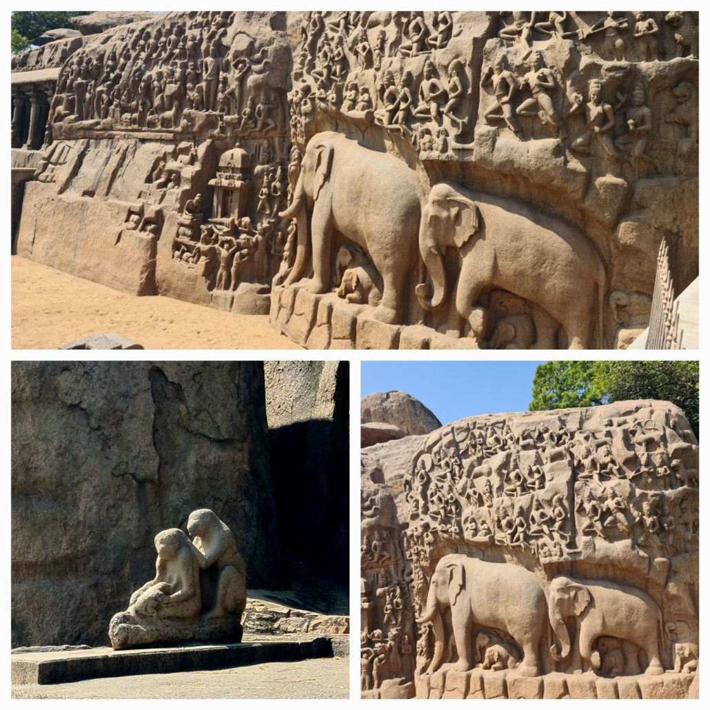 A collage of photos, two showing Measuring 96 by 43 feet (29 m × 13 m), it is a giant open-air rock relief carved on two monolithic rock boulders. The legend depicted in the relief is the story of the descent of the sacred river Ganges to earth from the heavens led by Bhagiratha. The waters of the Ganges are believed to possess supernatural powers. The descent of the Ganges and Arjuna's Penance are portrayed in stone at the Pallava heritage site.[3][4] The relief is more of a canvas of Indian rock cut sculpture at its best not seen anywhere else in India. The third is two stone monkeys, one picking nits out of the others hair