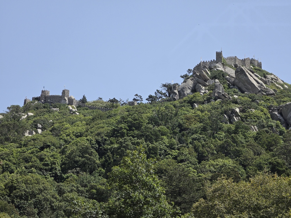 Photograph of a medieval stone castle perched on a rocky, forested hillside, with fortified walls and towers visible along the ridge beneath a clear blue sky.