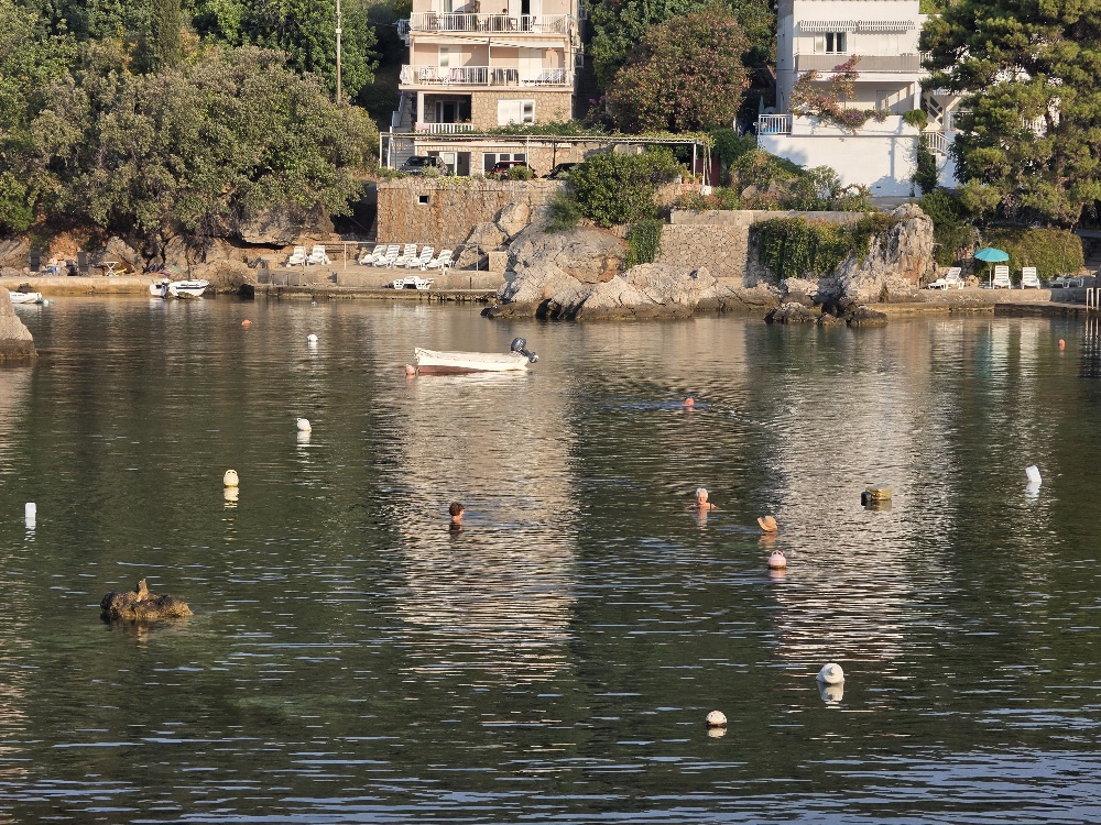 Several people swimming in a sheltered coastal bay surrounded by rocky shoreline, trees and waterfront houses.